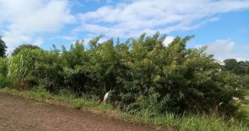 Terreno à venda na Pousada da Neve, Nova Petrópolis
