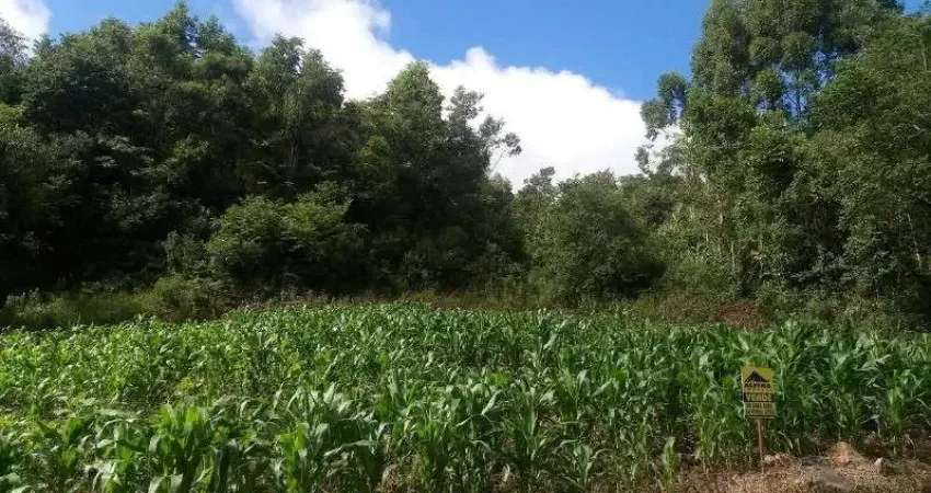 Terreno à venda na Vila Germania, Nova Petrópolis 