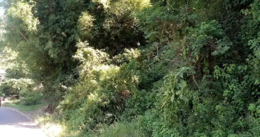 Terreno à venda no Piá, Nova Petrópolis