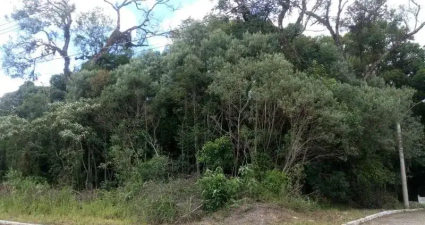 Terreno à venda em Juriti, Nova Petrópolis