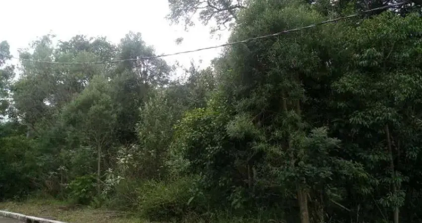 Terreno à venda em Juriti, Nova Petrópolis