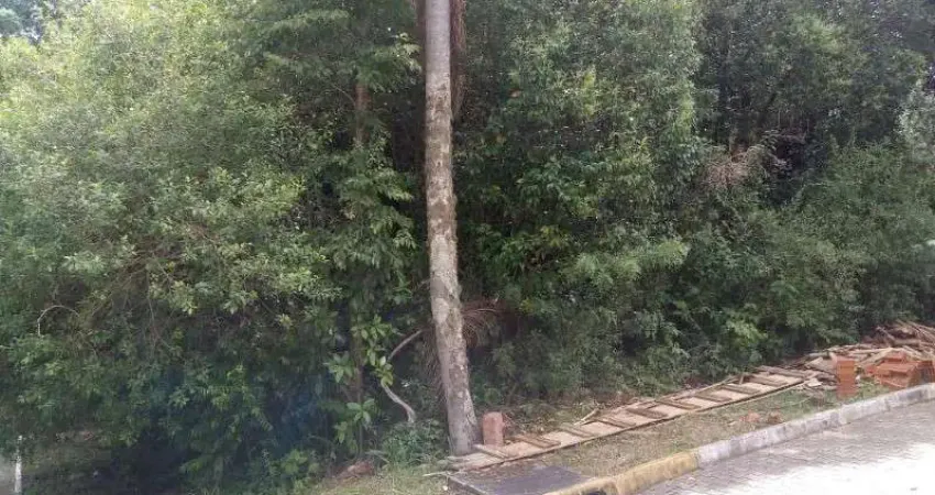 Terreno à venda em Juriti, Nova Petrópolis