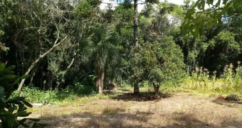 Terreno à venda no Linha Brasil, Nova Petrópolis