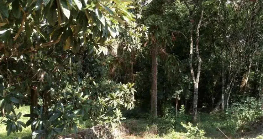 Terreno à venda no Linha Brasil, Nova Petrópolis