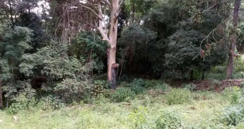 Terreno à venda no Linha Brasil, Nova Petrópolis