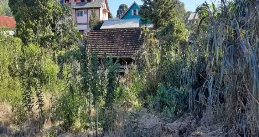 Terreno à venda no Pinhal Alto, Nova Petrópolis