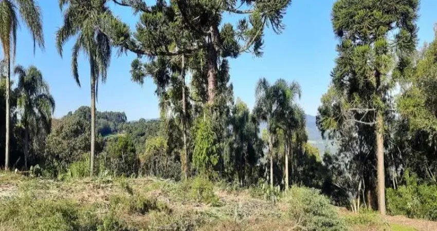Terreno à venda no Pinhal Alto, Nova Petrópolis 