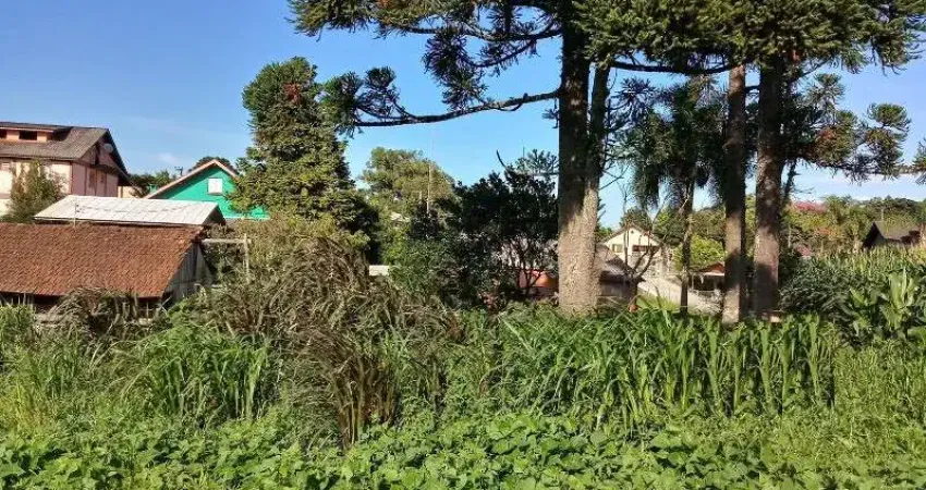 Terreno à venda no Pinhal Alto, Nova Petrópolis 