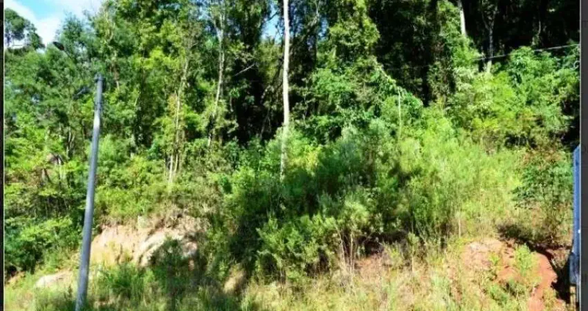 Terreno à venda no Piá, Nova Petrópolis