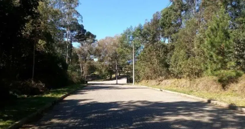 Terreno à venda em Juriti, Nova Petrópolis