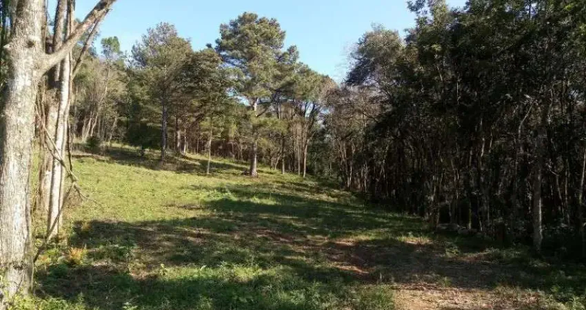 Terreno à venda na Vila Olinda, Nova Petrópolis