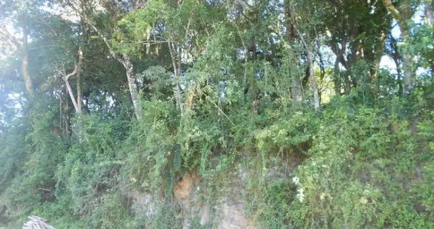 Terreno à venda em Juriti, Nova Petrópolis