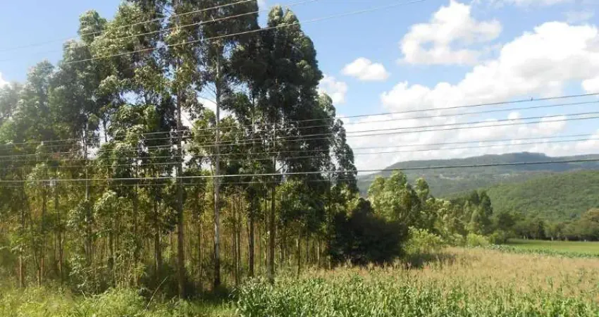 Terreno à venda no Linha Araripe, Nova Petrópolis 