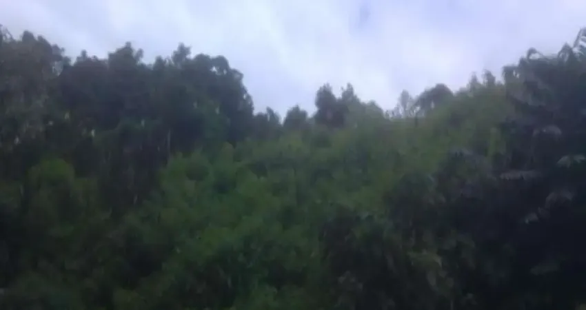 Terreno à venda na Vila Olinda, Nova Petrópolis