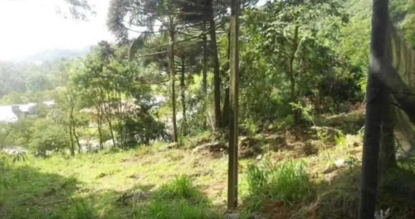 Terreno comercial à venda na RS 235 , km 05, 5436, Piá, Nova Petrópolis