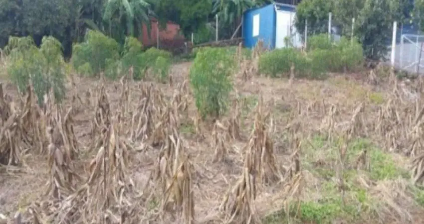 Terreno à venda na Zona Rural, Nova Petrópolis