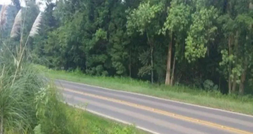 Terreno à venda no Linha Imperial, Nova Petrópolis