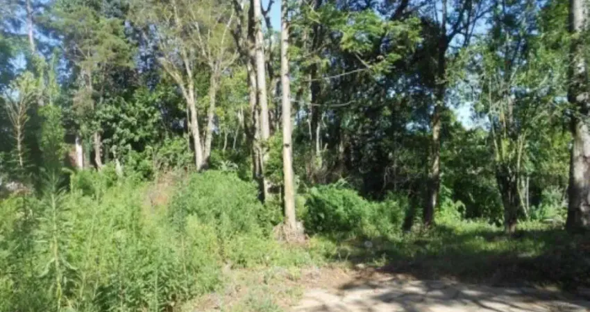 Terreno comercial à venda na Av. 15 de Novembro, Centro, Nova Petrópolis