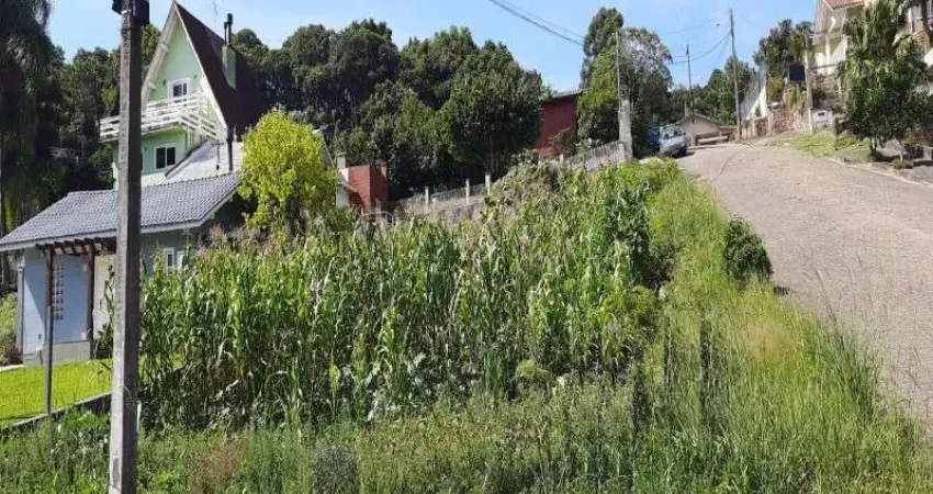 Terreno à venda no Logradouro, Nova Petrópolis