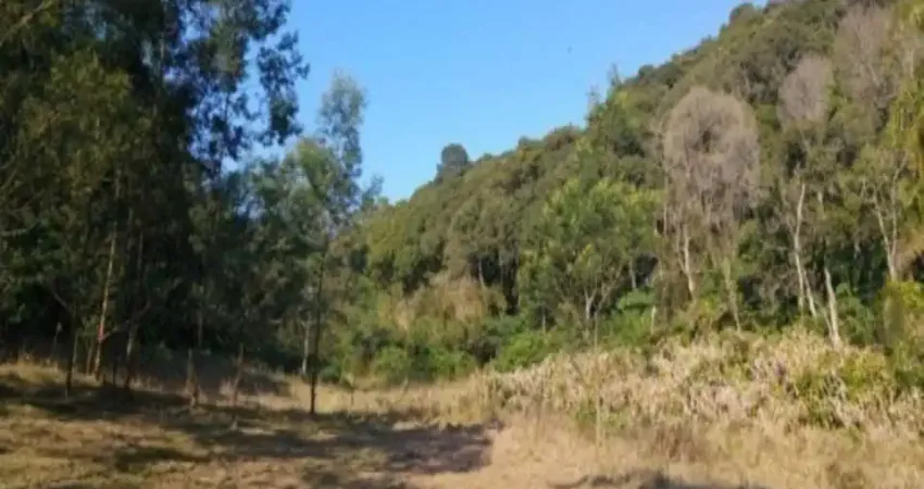 Terreno à venda na Estrada Geral Fazenda Pirajá, Fazenda Pirajá, Nova Petrópolis