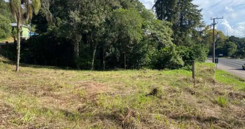 Terreno comercial à venda na Rodovia Presidente Getúlio Vargas, 3130, Bavária, Nova Petrópolis