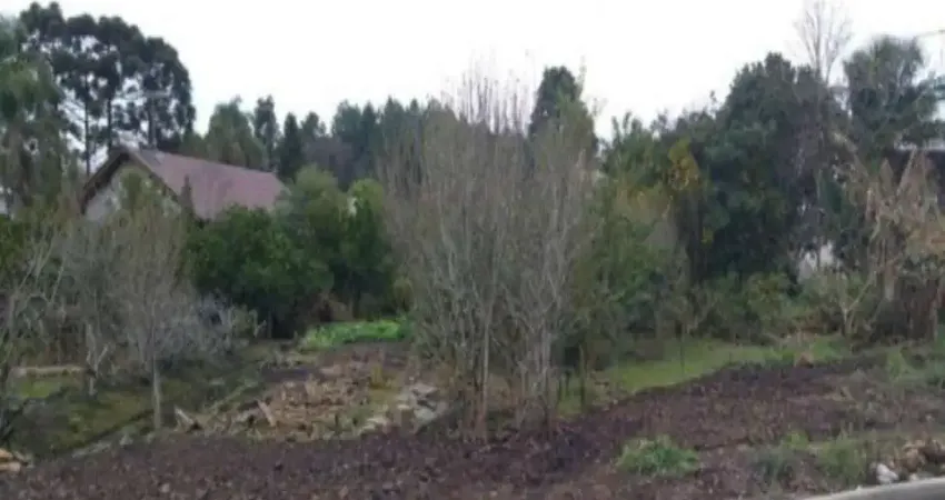 Terreno à venda no Piá, Nova Petrópolis