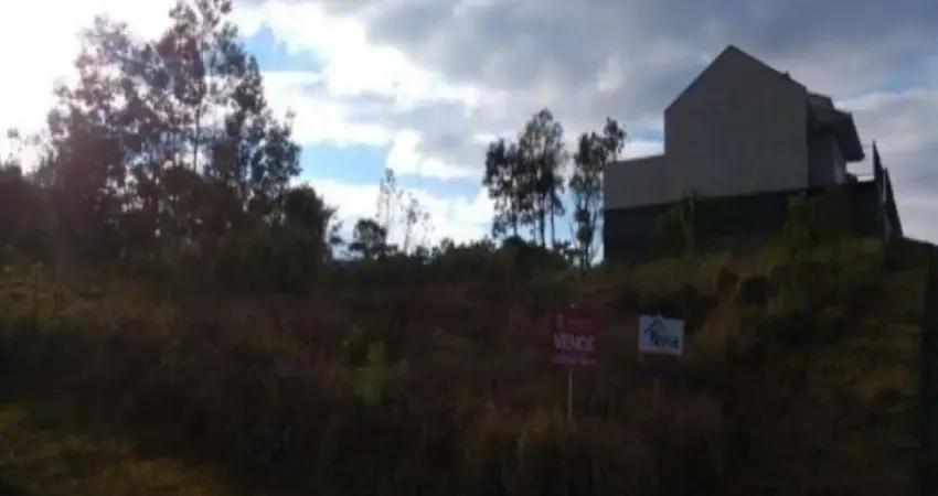 Terreno à venda na Zona Rural, Nova Petrópolis 
