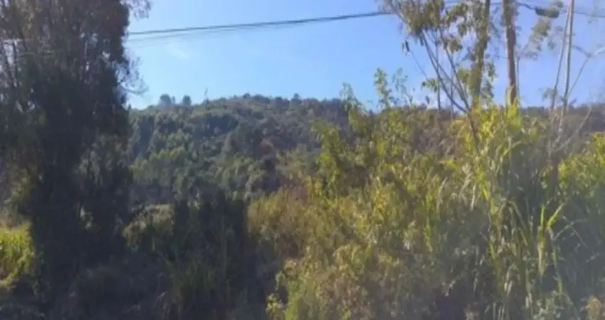 Terreno à venda no Linha Brasil, Nova Petrópolis