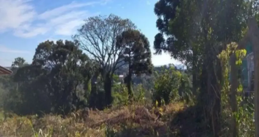 Terreno à venda no Vale Verde, Nova Petrópolis