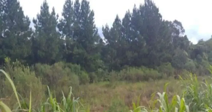 Terreno à venda no Pinhal Alto, Nova Petrópolis