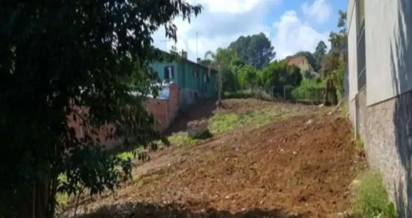 Terreno à venda no Logradouro, Nova Petrópolis 