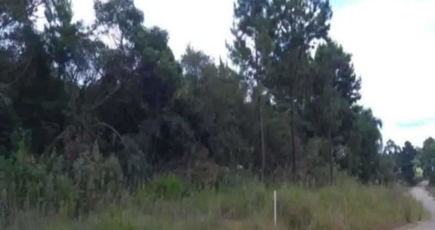 Terreno à venda no Linha Imperial, Nova Petrópolis 