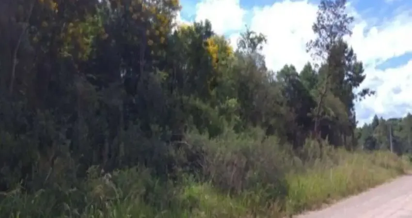 Terreno à venda no Linha Imperial, Nova Petrópolis