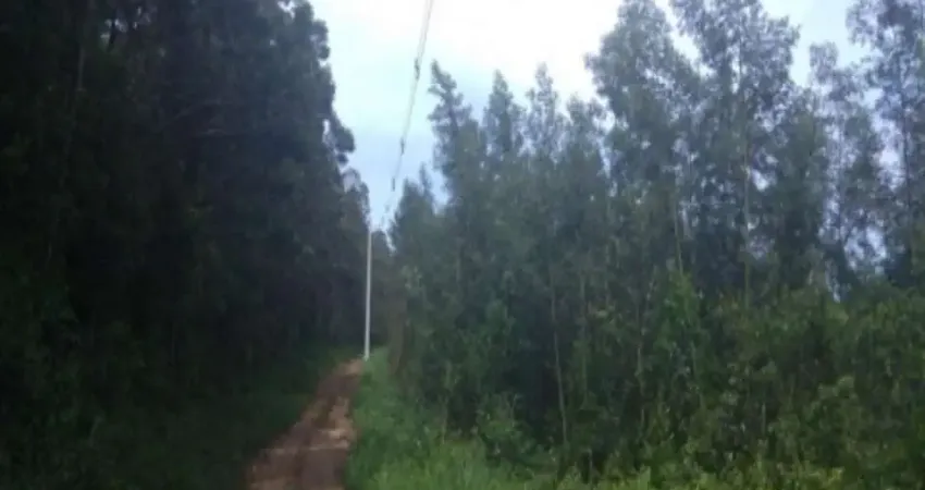 Terreno à venda na Zona Rural, Nova Petrópolis