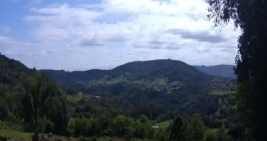 Chácara / sítio com 2 quartos à venda na RS 235 km 30, Linha Imperial, Nova Petrópolis