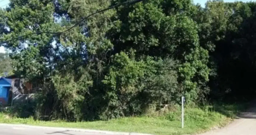 Terreno à venda no Centro, Nova Petrópolis