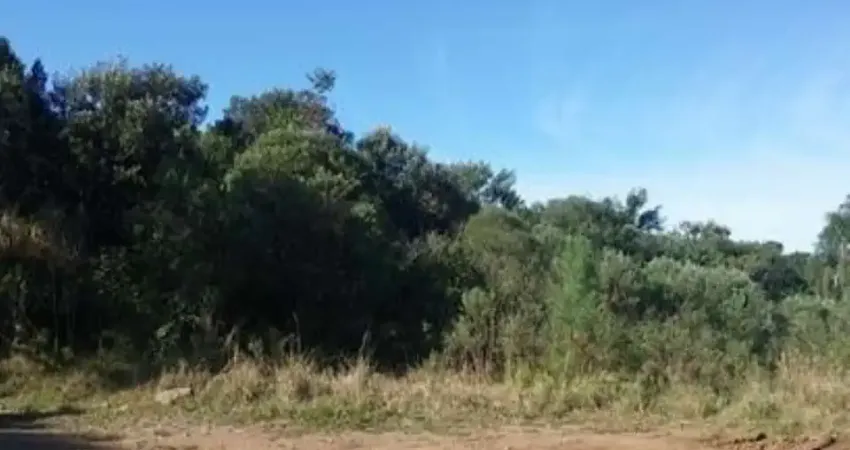 Terreno à venda no Linha Imperial, Nova Petrópolis