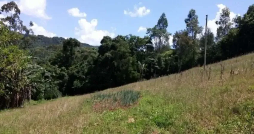 Chácara / sítio com 4 quartos à venda na Vila Olinda, Nova Petrópolis