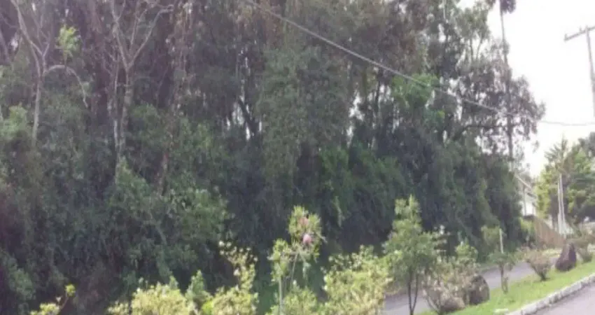 Terreno à venda no Vale Verde, Nova Petrópolis 
