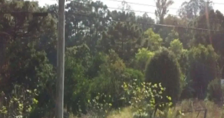 Terreno à venda no Linha Brasil, Nova Petrópolis 