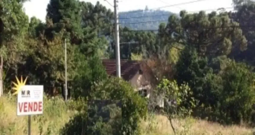 Terreno à venda no Linha Brasil, Nova Petrópolis