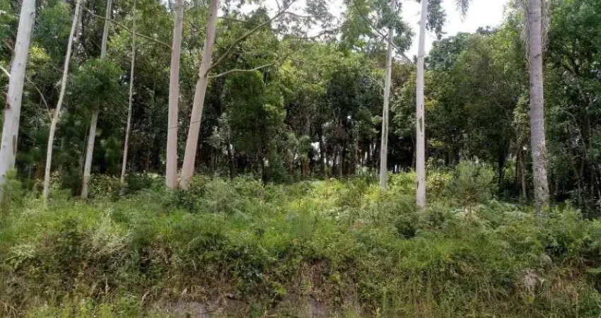 Terreno à venda na Pousada da Neve, Nova Petrópolis 