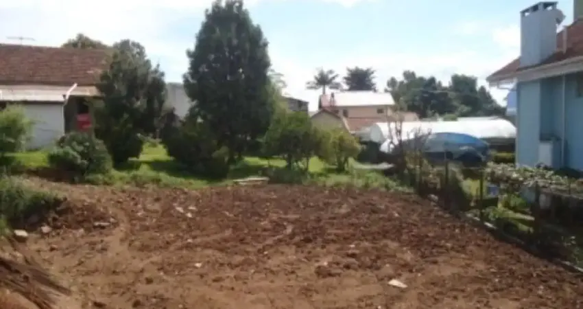 Terreno à venda no Centro, Nova Petrópolis