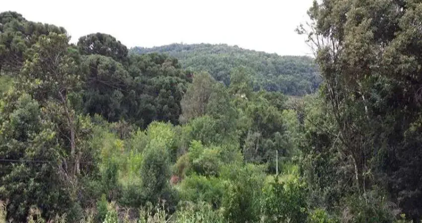 Terreno à venda na Estrada Pinhal Alto, Pinhal Alto, Nova Petrópolis