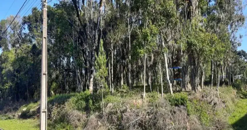 Terreno à venda na Vila Germania, Nova Petrópolis