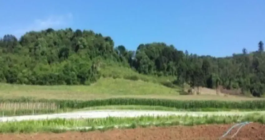 Terreno à venda no Linha Brasil, Nova Petrópolis