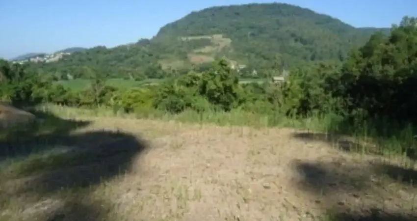 Terreno comercial à venda no Centro, Picada Café 