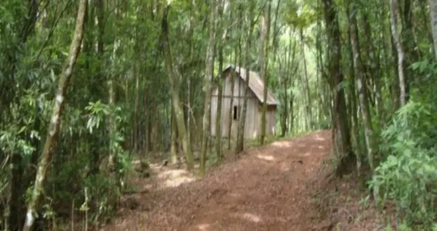 Terreno à venda na Fazenda Pirajá, Nova Petrópolis