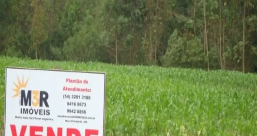 Terreno à venda no Linha Imperial, Nova Petrópolis 