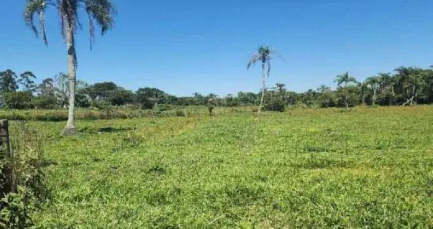 Imóvel rural distrito de vila conceição - sao joao do sul/santa catarina